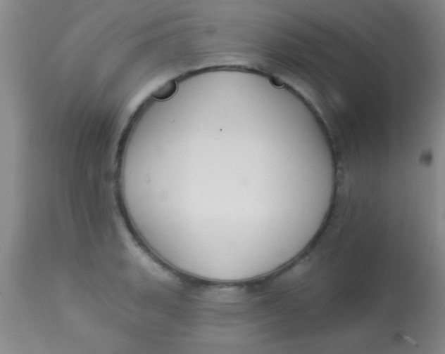 X0000112891135200909181906