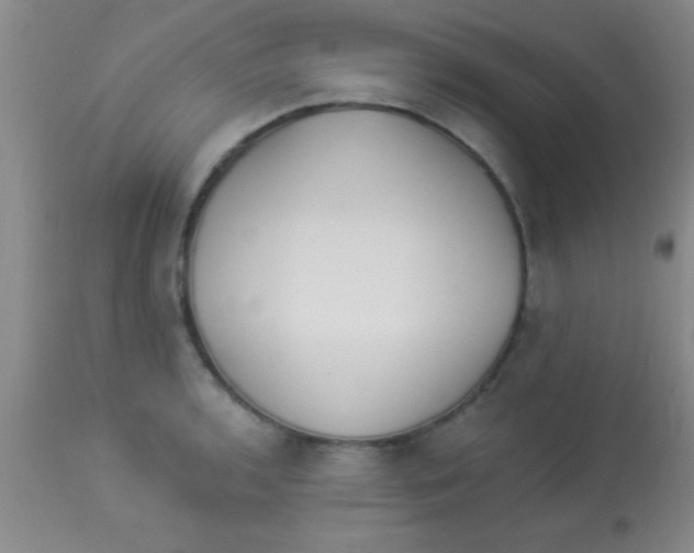 X0000112891136200909181906