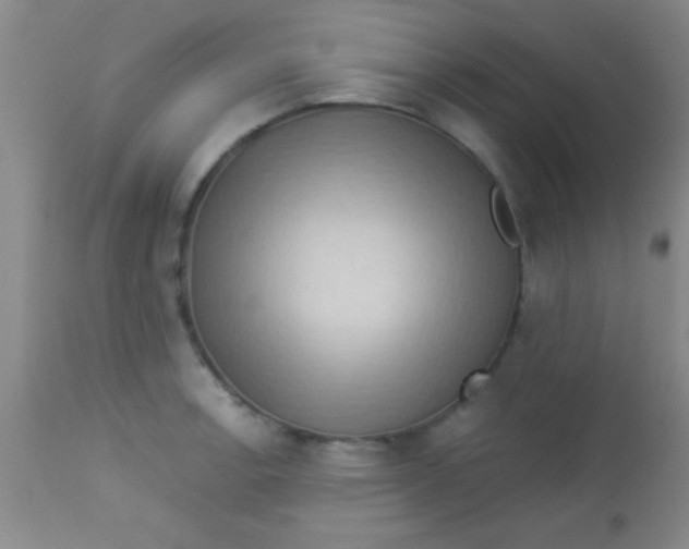 X0000112891138200909181906