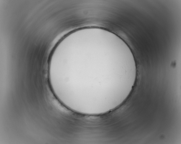 X0000112891140200909181906