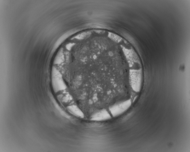 X0000112891141200909181906