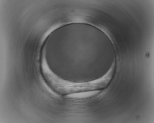 X0000112891142200909181906