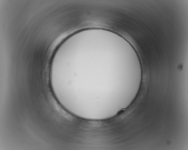 X0000112891144200909181906