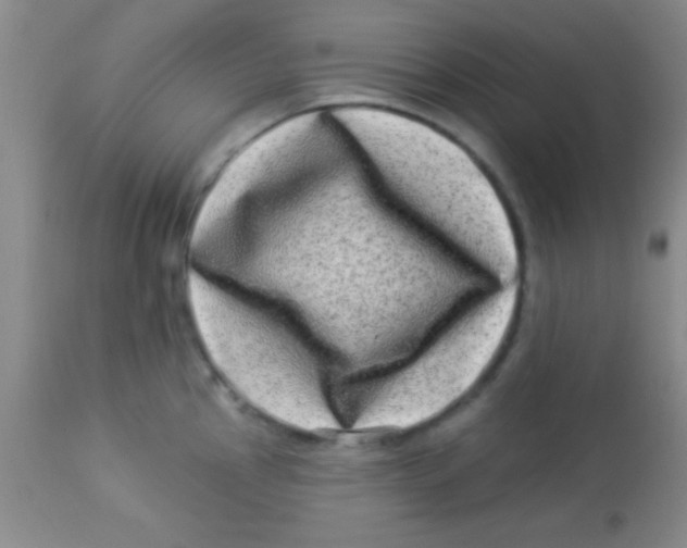 X0000112891145200909181906