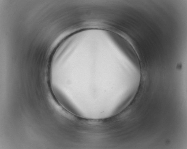 X0000112891147200909181906