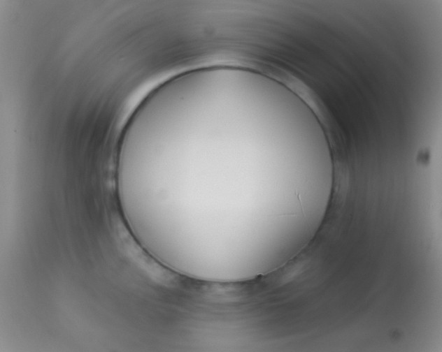 X0000112891148200909181906