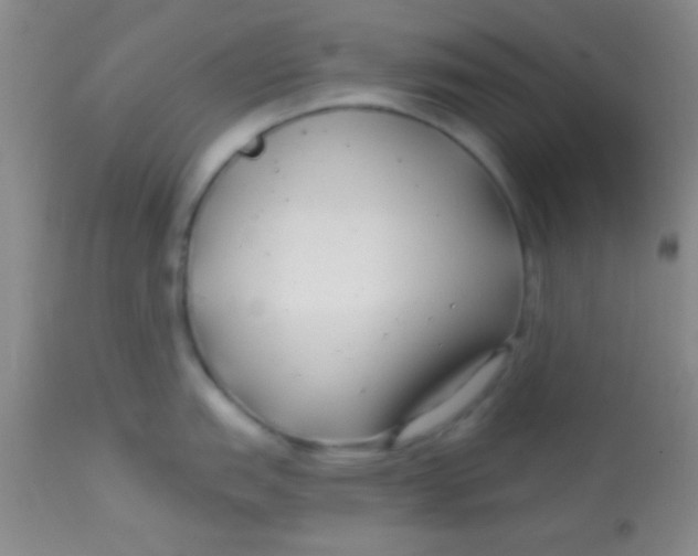 X0000112891151200909181906