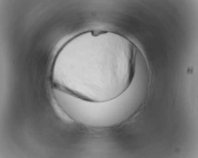 X0000112891152200909181906