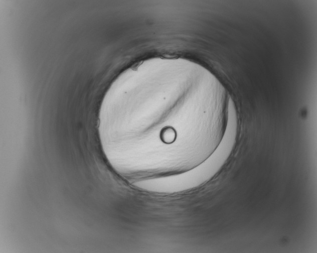 X0000112891153200909181906