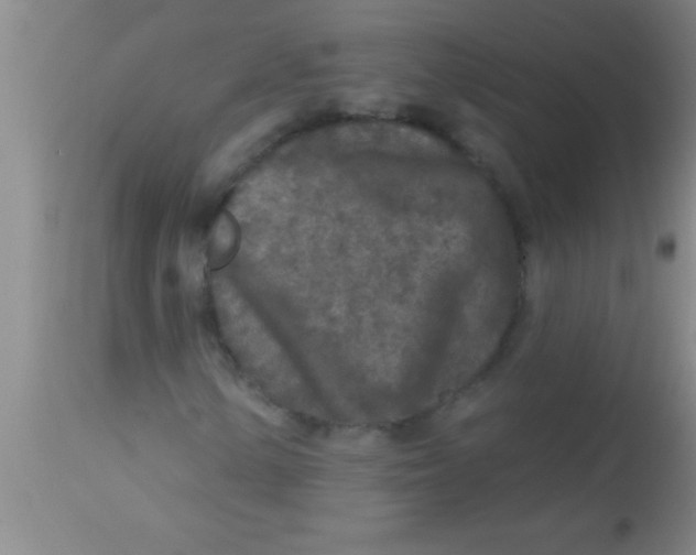 X0000112891154200909181905