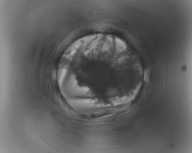 X0000112891155200909181905