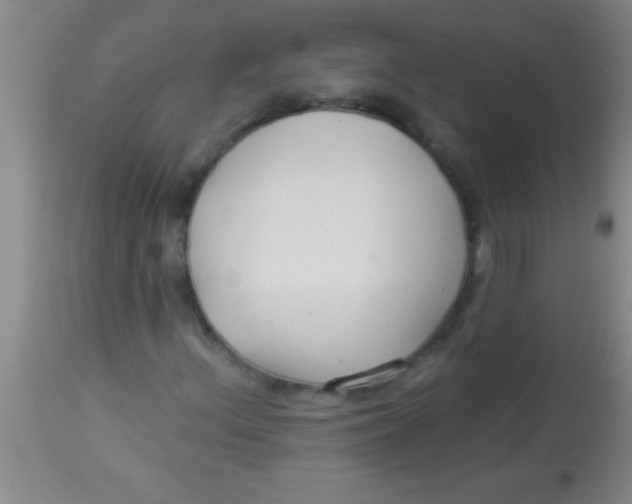 X0000112891156200909181905