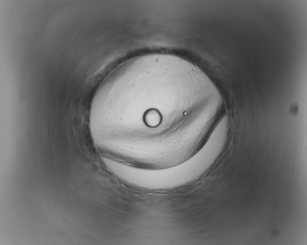 X0000112891157200909181905