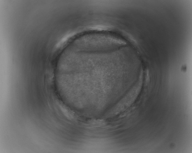 X0000112891158200909181905