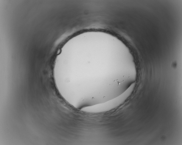 X0000112891160200909181905