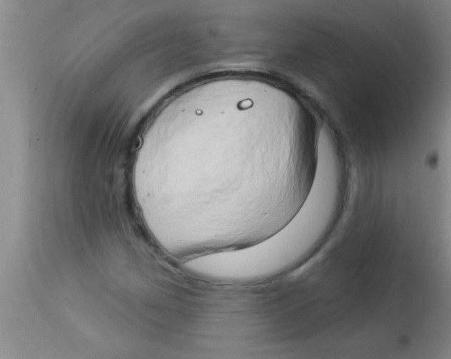 X0000112891162200909181905