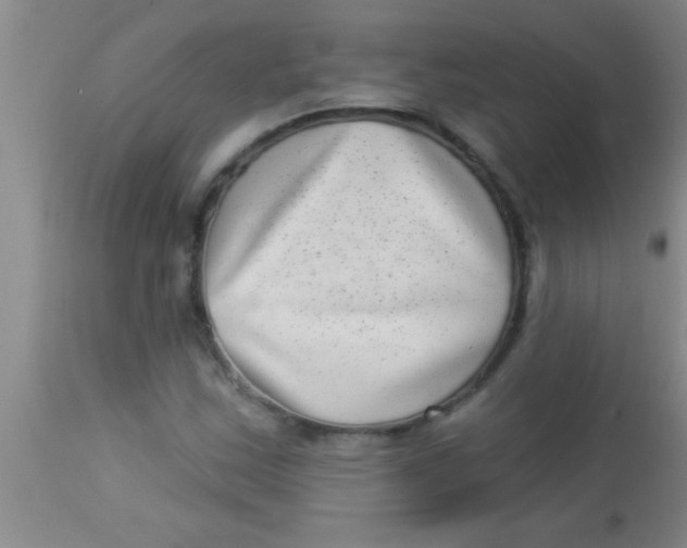 X0000112891163200909181905