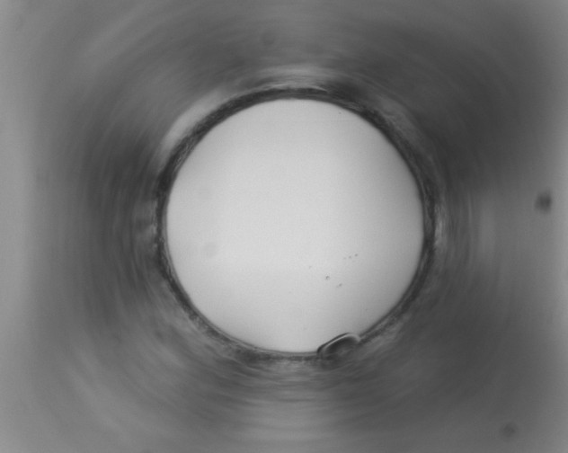 X0000112891164200909181905