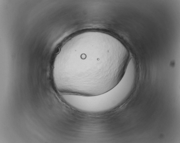 X0000112891165200909181905