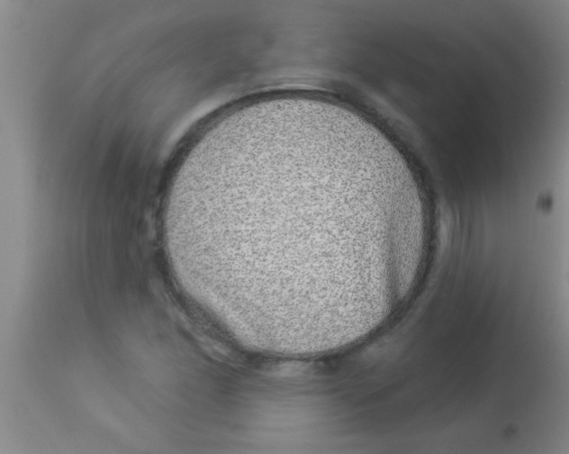 X0000112891166200909181905