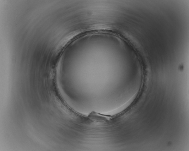 X0000112891169200909181905