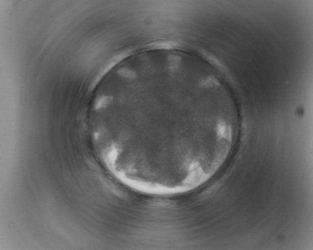 X0000112891170200909181905