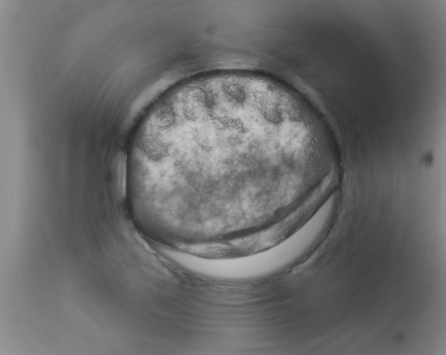 X0000112891171200909181905