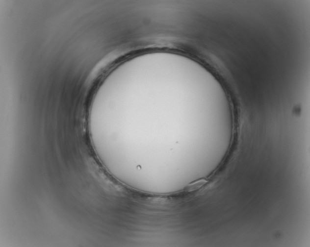 X0000112891172200909181905