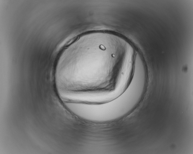 X0000112891173200909181905
