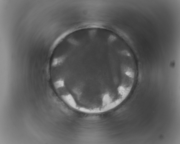 X0000112891174200909181905