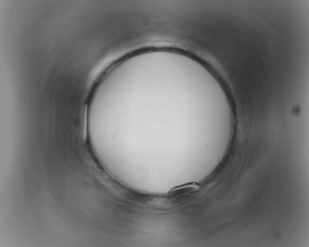 X0000112891175200909181905