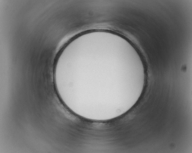 X0000112891176200909181905