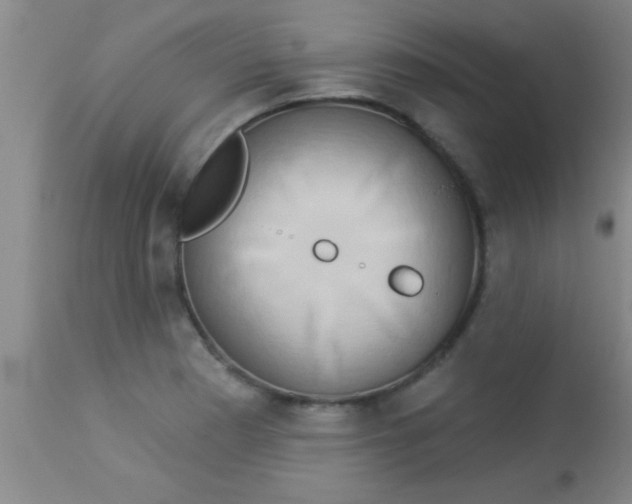 X0000112891177200909181905