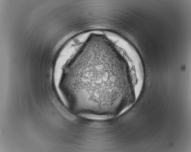 X0000112891179200909181905