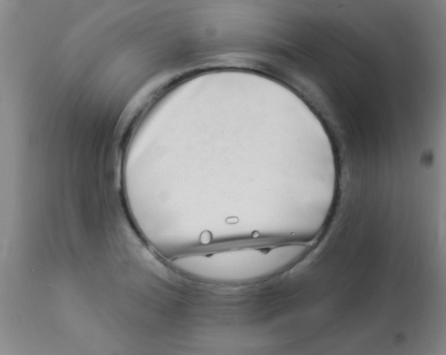 X0000112891180200909181905