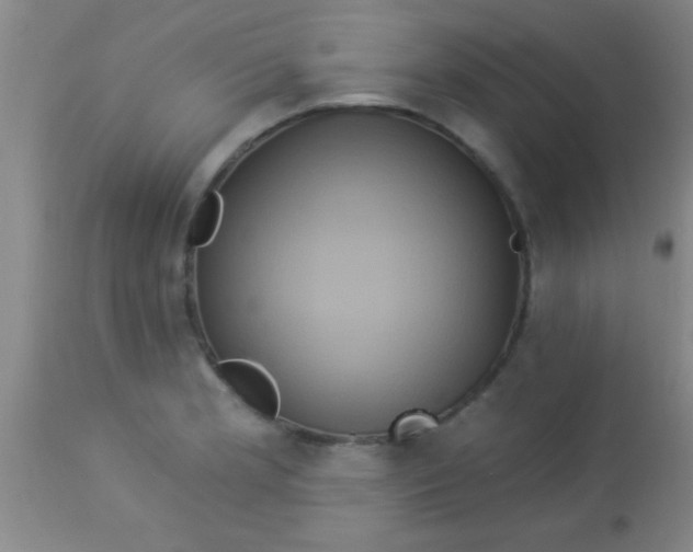 X0000112891181200909181905