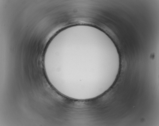 X0000112891182200909181905