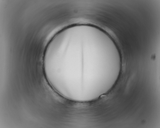 X0000112891183200909181905