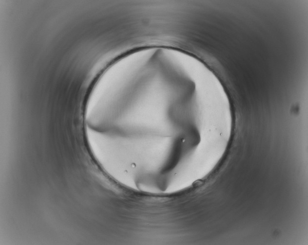 X0000112891184200909181905