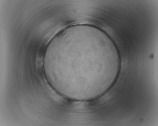 X0000112891185200909181905
