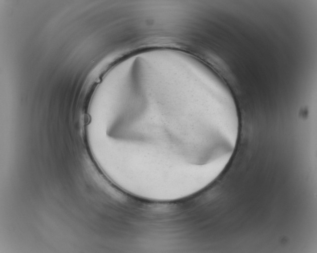 X0000112891188200909181905