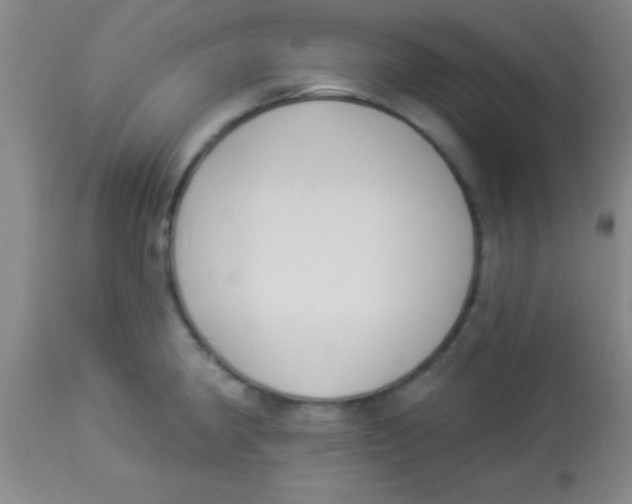 X0000112891190200909181905