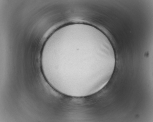 X0000112891191200909181905