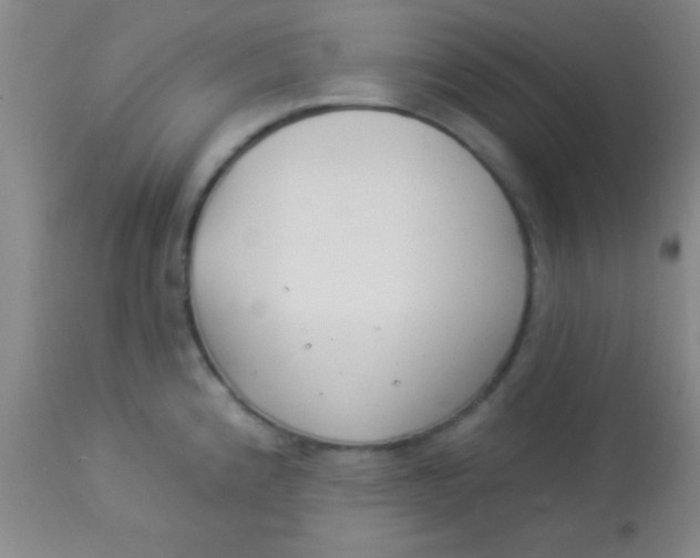 X0000112891192200909181905