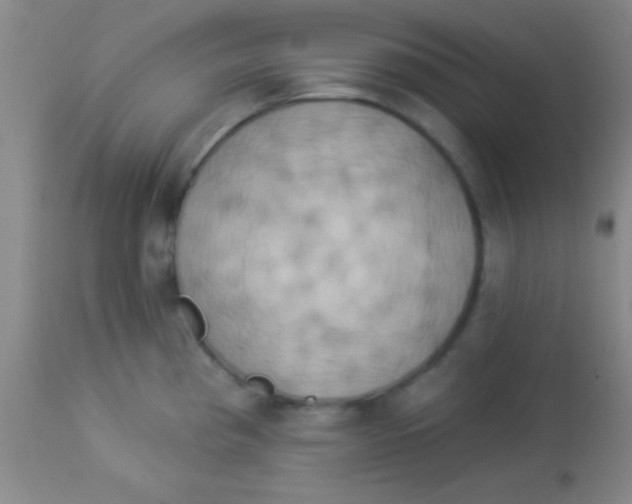 X0000112891193200909181905