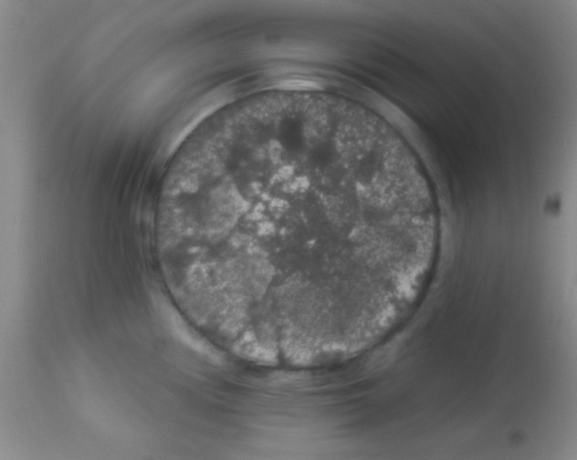 X0000112891194200909181905