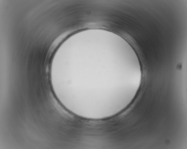 X0000112891196200909181905