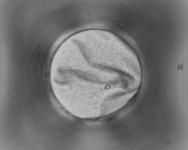 X0000112891200200909181905
