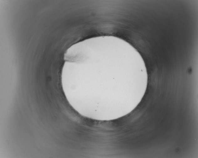 X0000112891201200909181904