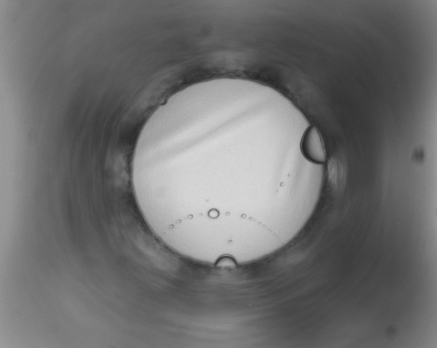 X0000112891203200909181904